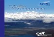 Mount Cook - CAA and Avsec | aviation.govt.nz · 2019. 11. 12. · In, Out and Around Mount Cook ... or your local flight training organisation. Refer to the most up-to-date AIP Supplement