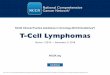NCCN Clinical Practice Guidelines in Oncology (NCCN ... · UPDATES Continued Updates in Version 1.2019 of the NCCN Guidelines for T-Cell Lymphomas from Version 5.2018 include: Breast