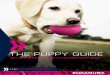 THE PUPPY GUIDE - Golden Glove Kennelsgoldenglovekennels.ca/.../02/02.-Eukanuba-Puppy-Guide.pdf · 2019. 2. 4. · THE PUPPY GUIDE GET HIM READY FOR AN EXTRAORDINARY START FUEL EXTRAORDINARY