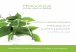 NATURAL & CERTIFIED ORGANICS - PRAVADApravadaprivatelabel.com/wp-content/uploads/pravada...natural ingredients within, we understand the importance of offering a unique fragrance for