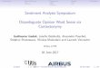 Sentiment Analysis Symposium - Disambiguate Opinion Word ...2017.sentimentsymposium.com/wp-content/uploads/... · Introduction State of the art Experiment ResultsConclusion Sentiment