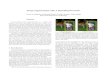 Image Segmentation with A Bounding Box Priorvision.stanford.edu/.../papers/lkrs_iccv09_TR.pdf · 2013. 4. 30. · Image Segmentation with A Bounding Box Prior Victor Lempitsky, Pushmeet