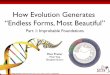 How Evolution Generates Endless Forms, Most Beautifulsitn.hms.harvard.edu/wp-content/uploads/2012/10/... · 2013. 4. 16. · How Evolution Generates “Endless Forms, Most Beautiful”