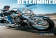 DETERMINED - Annual report€¦ · THE MINDSET OF A WINNER. POLARIS INDUSTRIES INC. is headquartered in Medina, Minnesota, and designs, manufactures and markets innovative, high-quality,