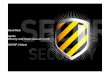 David Rook Agnitio Security code review swiss army knife ...• Senior Security consultant, Sogeti Nederland BV, Nederland CISSP, OSCP, ASS and someotheracronyms ... • Structured,