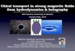 Chiral transport in strong magnetic fields from ...physics.ua.edu/wp-content/uploads/2019/10/Kaminski_ChiralTranspo… · Matthias Kaminski Chiral transport in strong magnetic fields