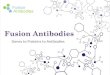 Genes to Proteins to Antibodies - ww1.prweb.com Antibodies...آ  3/2/2015 آ  Antibody Humanization Fusion