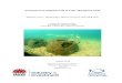 Assessment of artificial reefs in Lake Macquarie NSW€¦ · Assessment of artificial reefs in Lake Macquarie NSW August 2010 Authors: Michael Lowry, Heath Folpp, Marcus Gregson,