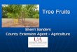 Tree Fruits Fruits.pdfTree Fruit Crops Tree fruits can be a valuable addition to the home garden Work well in your landscape design Home grown fruit = more flavorful Careful planning,