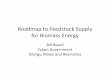 Roadmap to Feedstock Supply for Biomass Energy · Microsoft PowerPoint - Roadmap to Feedstock Supply for Biomass Energy.pptx Author: jpatterson Created Date: 12/6/2011 3:13:27 PM