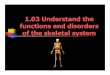 1.03 Understand the functions and disorders of the ... · of the skeletal system What do you think? 1.03 Understand the functions and disorders of the skeletal system 3 ... these