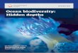 Ocean biodiversity: Hidden depths...Nov 08, 2019  · all of which have produced results. For example, in 2016 and 2017 three documents were issued to ensure the conservation, management