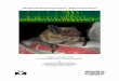 Michigan Bat Monitoring Program 2016 Acoustic Report317417665759703334.weebly.com/uploads/3/0/1/9/... · A single bat can eat thousands of insects each night. Many of these pests