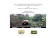 THE KENAI BROWN BEAR POPULATION ON - fws.gov The grizzly or brown bear (Ursus arctos) population on