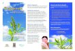 How do I get rid of ragweed? What is ragweed?...How do I get rid of ragweed? In Westmount, all residents are responsible for ensuring that there is no ragweed on their own property