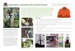 Pros: Con: Pros - Orangutan SSP€¦ · Auckland Zoo's orangutan feeders (New Zealand) Swivel mechanism at Original Design, Denver Zoo, base of tree, Auckland Zoo anchoring the cable