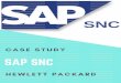 Table - Aurelius Corporate Solutions · SAP SC. M serves as a ss partners inventory ase Order on business t of SNC. ustomer to pplier using. lient: arket leade. r hardware, es and