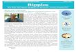 Ripples- Volume 1 Issue 1 - WordPress.comRipples is the ofﬁcial newsletter of Presbyterian Women in the Synod of Southern California and Hawaii. Presbyterian Women is the national