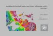 Auckland’s buried faults and their influence on its geology · • Form surface mapping of Miocene Waitemata Group turbidites coastal exposures and shallow submarine reef areas