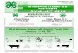 Somervell County 4-H Newsletter JANUARY 2017somervell.agrilife.org/files/2011/03/Somervell... · GRISD Ag Barn from 4-6pm for help clipping show animals. FOOD CHALLENGE San Angelo