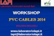 WORKSHOP PVC CABLES 2014 behaviour.pdf · lapi@laboratoriolapi.it BOLOGNA 20/11/2014 . LAPI SpA è un Organismo Notificato e Laboratorio di prove che opera dal 1983 nel settore di