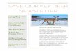 Save Our Key Deer, Inc. Volume 1 - Issue 4 October 18 ... · NEWSLETTER. Save Our Key Deer, Inc. Volume 1 - Issue 4 October 18, 2018 distributed via mail to just under 4000 addresses