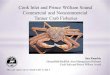 Cook Inlet and Prince William Sound Commercial and ......Cook Inlet and Prince William Sound Commercial and Noncommercial Tanner Crab Fisheries . Jan Rumble . Groundfish/Shellfish