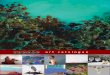 art catalogue - Xanadu GalleryWeb).pdf · A Bit of Whimsy in Your Day by Joyce Wynes 24" x 48" Acrylic/Mixed Media $2,998 Catalogue #1165150 Crazy Daze #2 by Joyce Wynes 12" x 12"