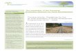 The newsletter of the European Evaluation Network for ...enrd.ec.europa.eu/.../news/Rural_Evaluation...corr.pdf · the evaluation of the National Rural Network Programme •The Flanders