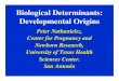 Biological Determinants: Developmental Origins determinants developmental origi… · of gestation and the fetus recovered. • A third set of ewes were allowed to deliver. The first