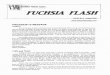 Fuchsia · Created Date: 7/30/2010 1:47:17 PM
