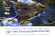 Rocky shore ecology - Two Oceans Aquarium€¦ · Rocky shore ecology This lesson activity introduces students to animals . and plants found in rocky shore ecosystems. It also investigates