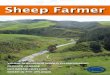 Sheep Farmer ... Central - Matt Bagley, Charles Sercombe, Alastair Sneddon Eastern - Andrew Foulds,