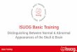 ISUOG Basic Training...Basic Training Plane Description Structures to be evaluated2,3,4 Measurement1,2 & criteria for referral Abnormalities that can be excluded from the normal appearances