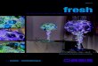fresh - Rays Florist · 2015. 5. 21. · Zantedeschia - Calla ‘Crystal Blush’ Vanda Orchid ‘White Magic’ Tillandsia xerographica Stephanotis Chincherinchee Arabicum Lily bud