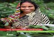 The Smallholder Advantage - UN CC:Learn€¦ · CDA community development authority CEPAGRI Centre for the Promotion of Agriculture (Mozambique) DSF Debt Sustainability Framework