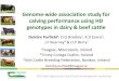 Genome-wide association study for calving performance ...€¦ · Genome-wide association study for calving performance using HD genotypes in dairy & beef cattle Deirdre Purfield1,