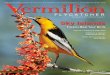 Vermilion - Tucson Audubon SocietyVermilion Flycatcher is published quarterly. For address changes or subscription problems call 629-0510, or write to Membership Coordinator, Tucson