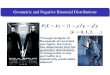 Geometric and Negative Binomial Distributions · Pascal’s TrianglePractice ProblemsGeometric DistributionNegative Binomial Distribution Negative Binomial Distribution The negative