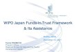 WIPO Japan Funds-in-Trust Framework & Its Assistance · Patents & Technology Sector •Development Agenda Coordination Division ... Assessment reports Technical assistance work involving