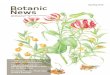 Spring 2012€¦ · Front cover image: Painting of Sandersonia aurantiaca, Gloriosa superba ‘Rothschildiana’, and Littonia modesta by Sandra Sanger. Right: Floating native fern