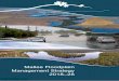 Mallee Floodplain Management Strategy 2018–28 · Mallee Floodplain Management Strategy 2018-28 3 Contents 1 Strategic Context 4 1.1 About the strategy 4 1.1.1 Purpose and scope