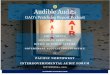 Audible Audits · 2019. 8. 5. · News Value • Past Client ... NPR style interviews . New Media . The Mechanics . Results . Digital Government . Audible Audits . Step 5: Public