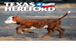 The Official Publication of the Texas Hereford Association ...texashereford.org/pdf/2017/7801 TXHfd Apr 2017 lo-res.pdf · Houston Livestock Show Results 17 Sale Reports 19 2016 Hereford