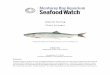 Atlantic herring - Ocean Wise · Overview of the species and management bodies Atlantic herring are found offshore and in every major estuarine ecosystem from the Gulf of Maine to