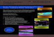 Fundamental Skills nd Edition - paxenpublishing.com · Intermediate Level, 2nd Edition 978-1-934-35089-8 21.95 Language and Writing Literacy Level, 2nd Edition 978-1-934-35090-4 31.95