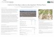 Control of Volunteer Cotton in the Southern Rolling Plains€¦ · Control of Volunteer Cotton in the Southern Rolling Plains D.R. Drake1, R.R. Minzenmayer 2, and P. Halfmann 2. 1Texas