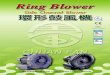 img74. 10 -200 40 RB-057 30 RB-03 RB-023 RB-400 (kأ¾Z) (m3/rnin) RB- 10 RB 152 4 6 7 (J 5 Ring BHower