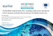 The BlueMed Implementation Plan - providing medium-term ... · The BLUEMED Implementation Plan structure • Scope: Placing the BLUEMED Implementation Plan in the overall landscape