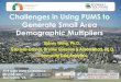 Challenges in Using PUMS to Generate Small Area ... · Generate Small Area Demographic Multipliers 2017 ACS Data Users Conference, #ACSConf17 Sidney Wong, Ph.D., Gabrielle Connor,